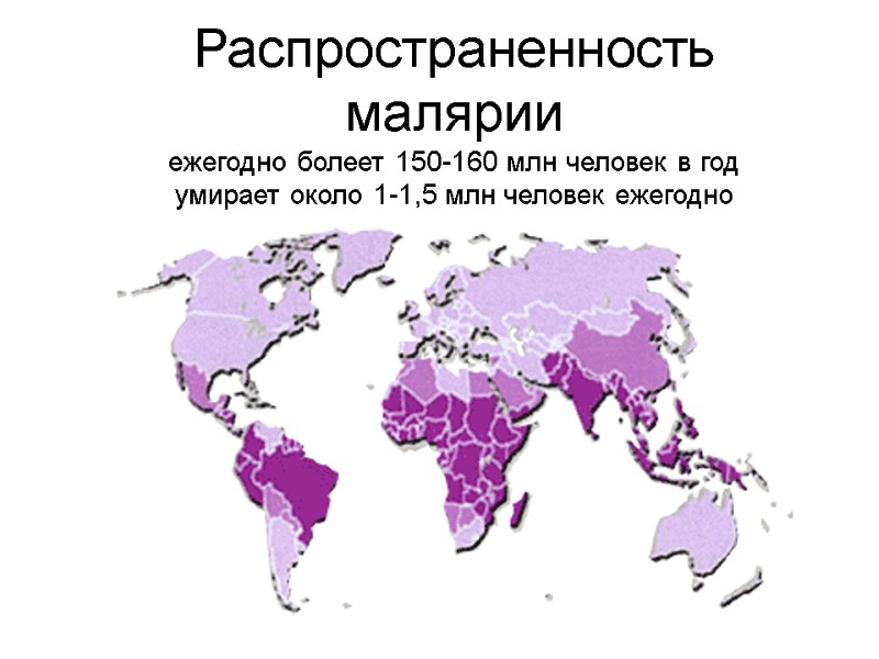 Распространенность малярии ежегодно болеет 150-160 млн человек в год умирает около 1-1,5 млн человек